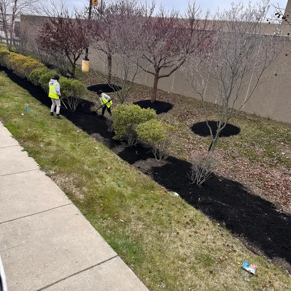 Team members spreading fresh dark black mulch around park perimeter tree rings